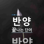 반양으로 끝나는 단어는? 1개