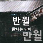 반월로 끝나는 단어는? 5개