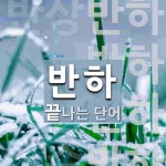 반하로 끝나는 단어는? 4개