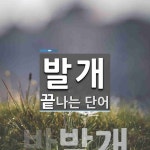 발개로 끝나는 단어는? 1개