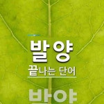 발양으로 끝나는 단어는? 1개