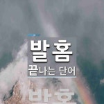 발홈으로 끝나는 단어는? 1개
