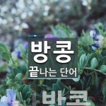 방콩으로 끝나는 단어는? 1개