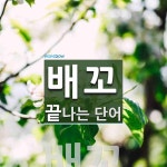 배꼬로 끝나는 단어는? 1개