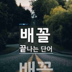 배꼴로 끝나는 단어는? 1개