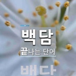 백담으로 끝나는 단어는? 1개
