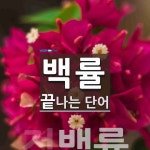 백률로 끝나는 단어는? 1개