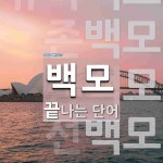 백모로 끝나는 단어는? 5개