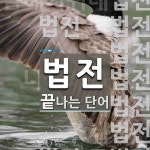법전으로 끝나는 단어는? 39개