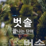 "벗솔" 끝 단어