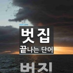 벗집으로 끝나는 단어는? 1개