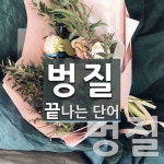 벙질로 끝나는 단어는? 2개