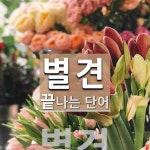 별견 끝 단어