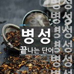 병성으로 끝나는 단어는? 13개