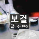 보걸로 끝나는 단어는? 1개