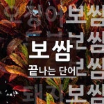 보쌈으로 끝나는 단어는? 6개