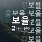 보율 끝 단어