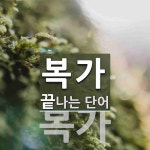 복가로 끝나는 단어는? 2개