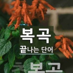 복곡 끝 단어