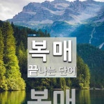 복매로 끝나는 단어는? 1개