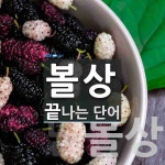 볼상으로 끝나는 단어는? 2개