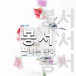 봉서로 끝나는 단어는? 3개