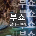 부쇼로 끝나는 단어는? 4개