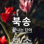 북송으로 끝나는 단어는? 1개