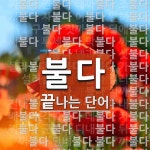 불다로 끝나는 단어는? 69개