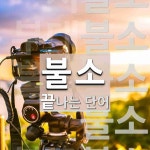 불소로 끝나는 단어는? 6개