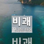 비괘로 끝나는 단어는? 1개