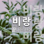 비랑으로 끝나는 단어는? 3개