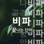 비파로 끝나는 단어는? 9개