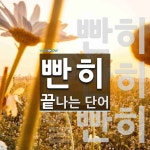 빤히로 끝나는 단어는? 3개