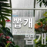 뽑개로 끝나는 단어는? 2개