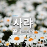 사랴로 끝나는 단어는? 2개