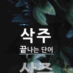 삭주로 끝나는 단어는? 1개