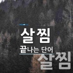 살찜으로 끝나는 단어는? 2개