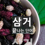 삼거로 끝나는 단어는? 1개