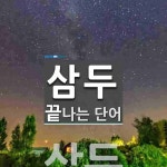 삼두로 끝나는 단어는? 1개