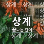 상계로 끝나는 단어는? 30개