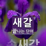 새갈로 끝나는 단어는? 1개