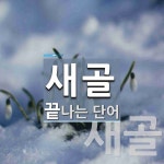 새골로 끝나는 단어는? 2개
