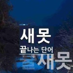 새못 끝 단어