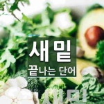 새밑으로 끝나는 단어는? 1개