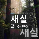 새실로 끝나는 단어는? 2개