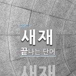 새재로 끝나는 단어는? 2개