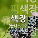 색장으로 끝나는 단어는? 5개