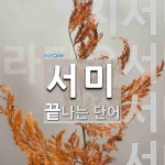 서미로 끝나는 단어는? 4개