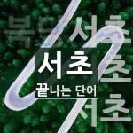 서초로 끝나는 단어는? 3개